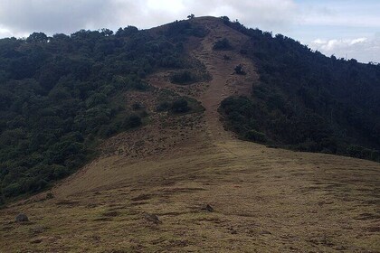 Private Half Day Hike to Ngong Hills from Nairobi