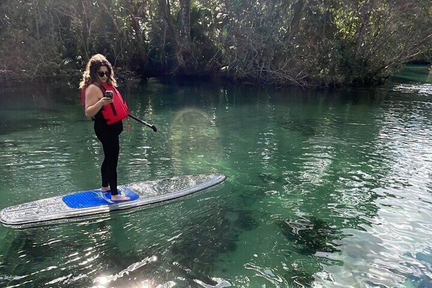 Weeki Wachee Clear Paddle Board Tours Manatee Season November 15th-March 31st