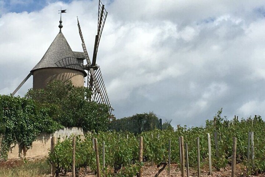 Beaujolais Wine Tasting Day Tour from Lyon