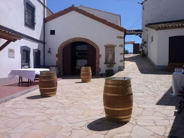 Penedes Wine Cellar Visit With Tasting From Barcelona