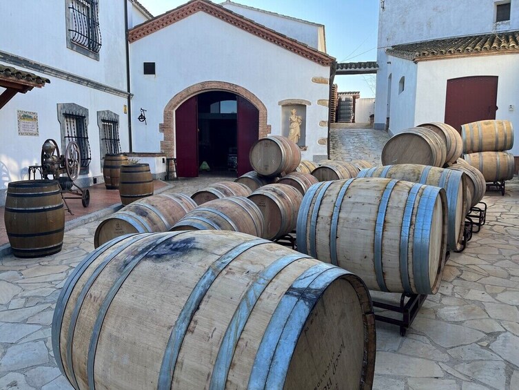 Penedes Wine Cellar Visit With Tasting From Barcelona