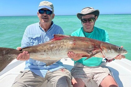 Half-Day Sarasota Inshore and Nearshore Fishing Adventure