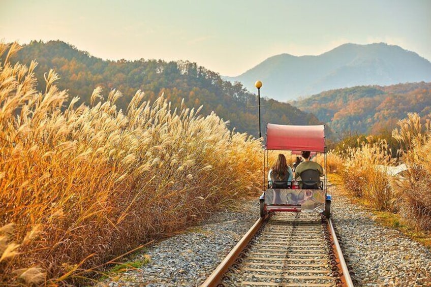 Nami Island & Petite France & Italian Village & Gangchon Rail Bike One-Day Tour