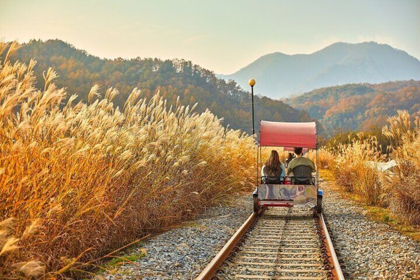 Nami Island & Petite France & Italian Village & Gangchon Rail Bike One-Day Tour