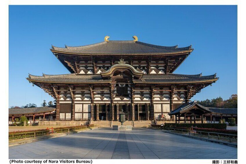 Nara Afternoon Tour - Todaiji Temple and Deer Park from Kyoto