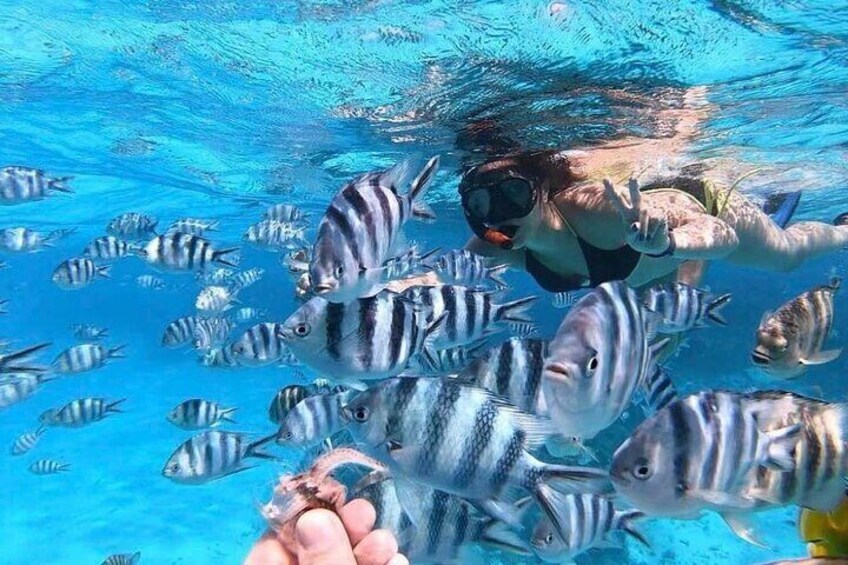 Private Half-Day Excursion on the Lagoon of Bora Bora