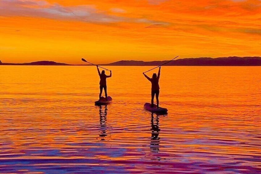 Friday Nights Pints and Paddle Party in Fort Lauderdale