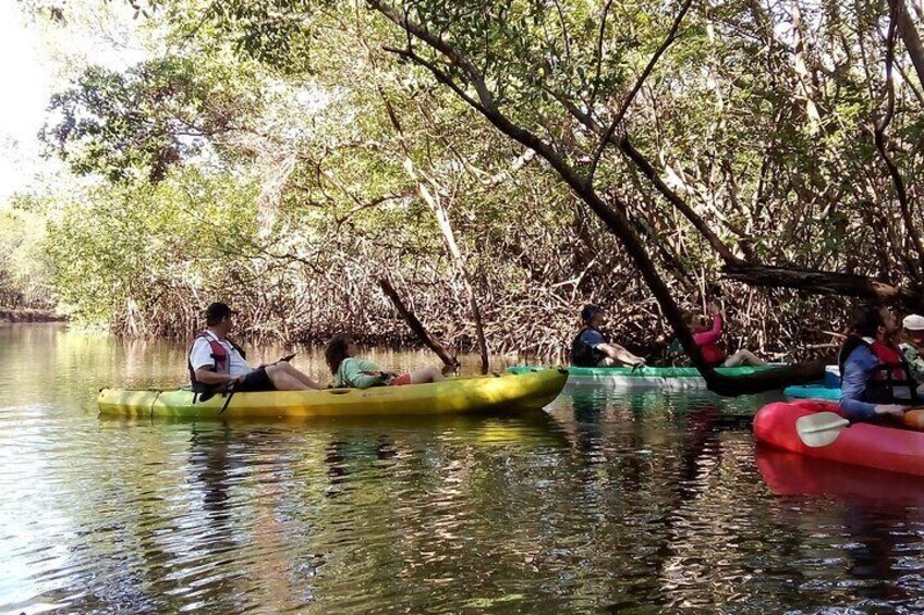 Tamarind mangrove in kayak 
