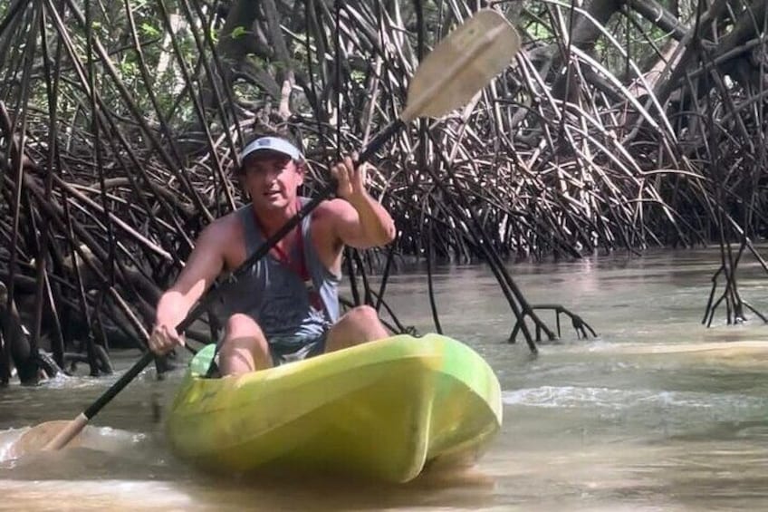 Mangrove Forest National Park Kayak Tour
