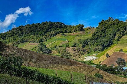 Full-Day Tour in Chiriqui Highlands with Lunch