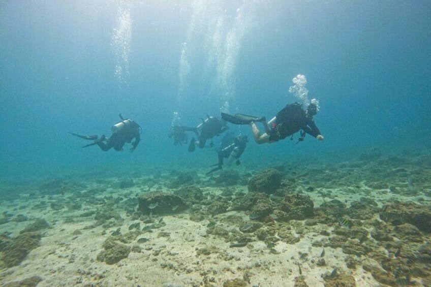 2 Dives for Certified Divers in Fujairah with lunch & transfer