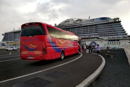 クルーズ客向けのハメオス デル アグア ビューポイントと 1000 本のヤシの木の谷のツアー