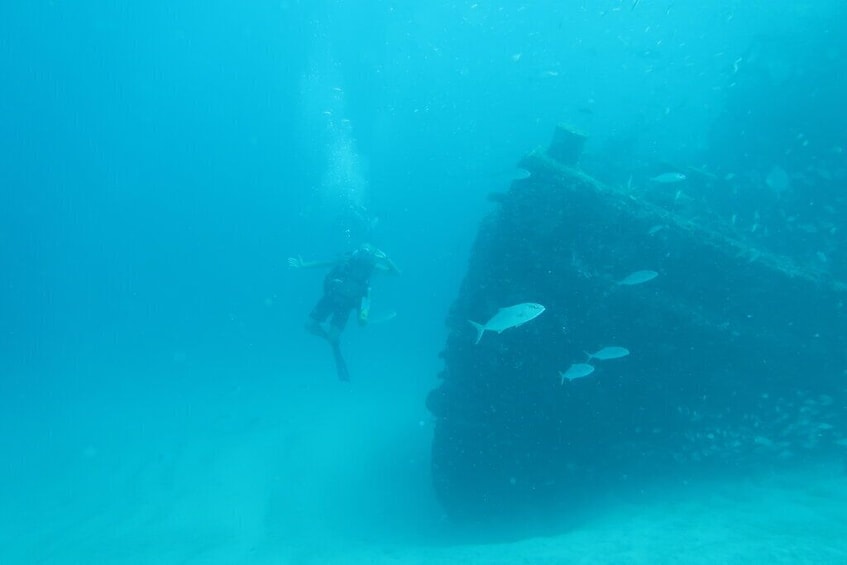 Palm Beach and Fort Lauderdale Ship Wreck Trek 3 Days of Wreck Diving 
