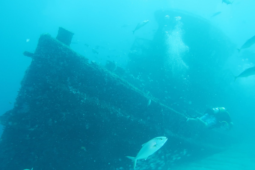 Palm Beach and Fort Lauderdale Ship Wreck Trek 3 Days of Wreck Diving 