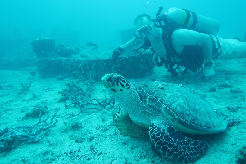 Palm Beach and Fort Lauderdale Ship Wreck Trek 3 Days of Wreck Diving 