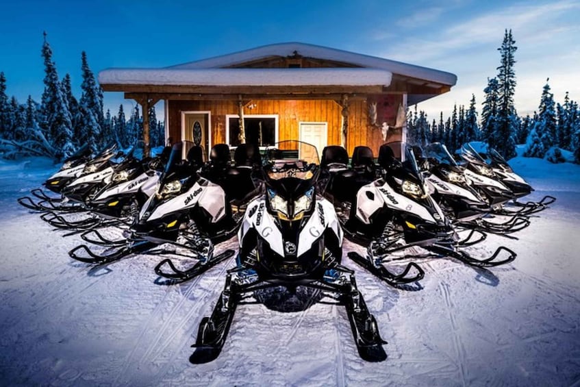 Picture 3 for Activity North Pole Alaska: Guided Fairbanks Snowmobile Tour