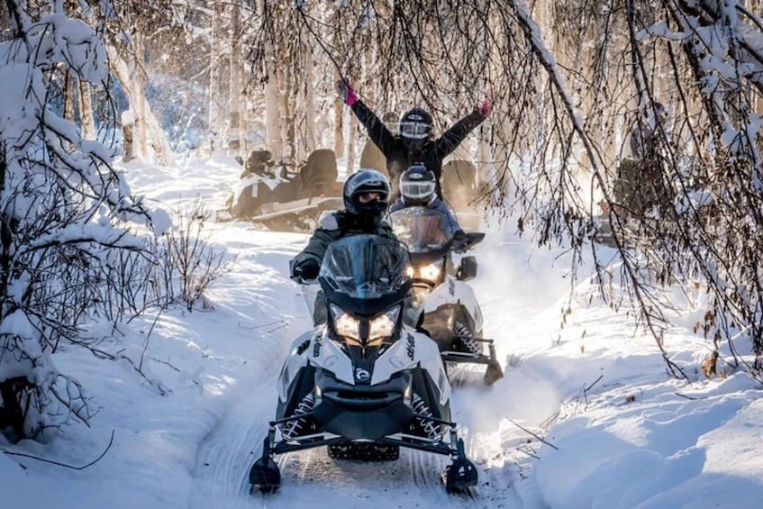 Picture 2 for Activity North Pole Alaska: Guided Fairbanks Snowmobile Tour