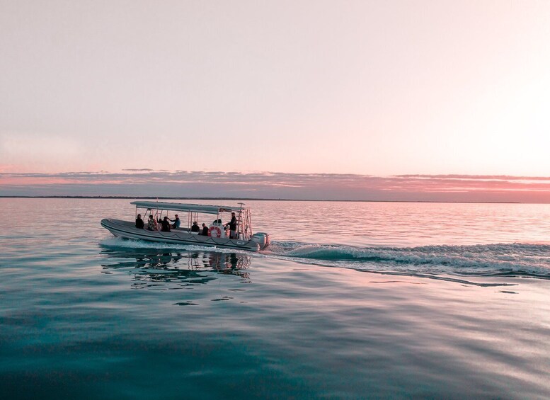 Picture 2 for Activity Hervey Bay and Fraser Coast Sunset Cruise