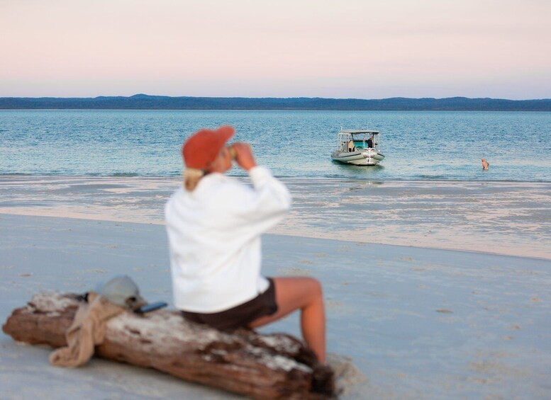 Picture 3 for Activity Hervey Bay and Fraser Coast Sunset Cruise