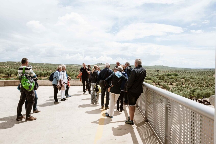 Picture 1 for Activity Jaén: Unforgettable visit to the olive mill + EVOO tasting