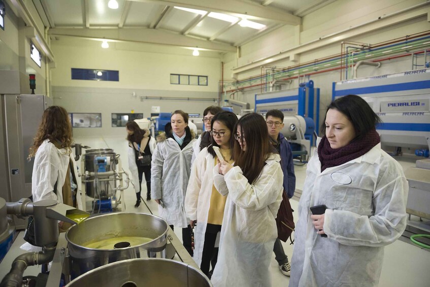 Picture 6 for Activity Jaén: Unforgettable visit to the olive mill + EVOO tasting