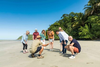 3 jours de récifs, de forêt tropicale et d'arrière-pays formule