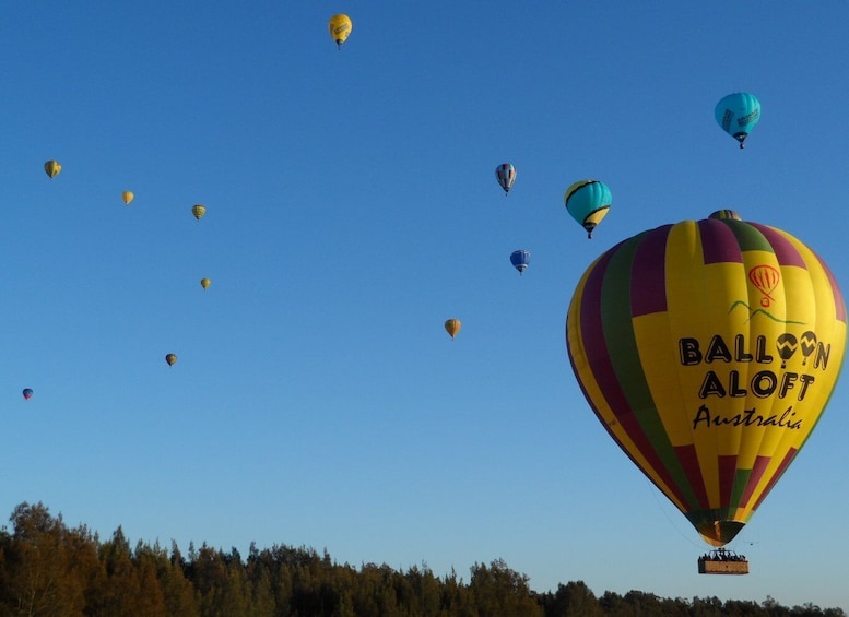 Picture 2 for Activity Hunter Valley: Sunrise Balloon Ride with Bubbly Breakfast