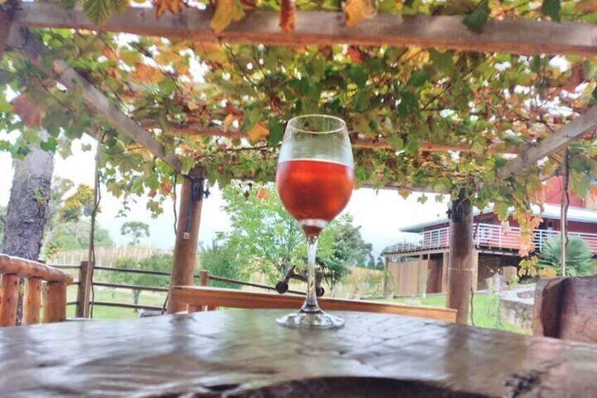 Private Picnic at the Vinícola Gardens in Gramado