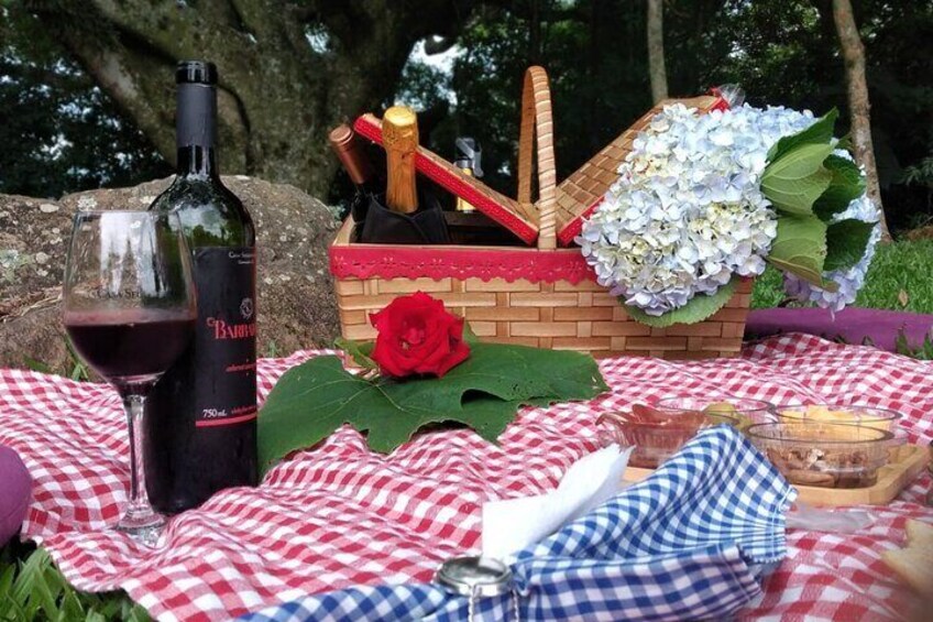 Private Picnic at the Vinícola Gardens in Gramado