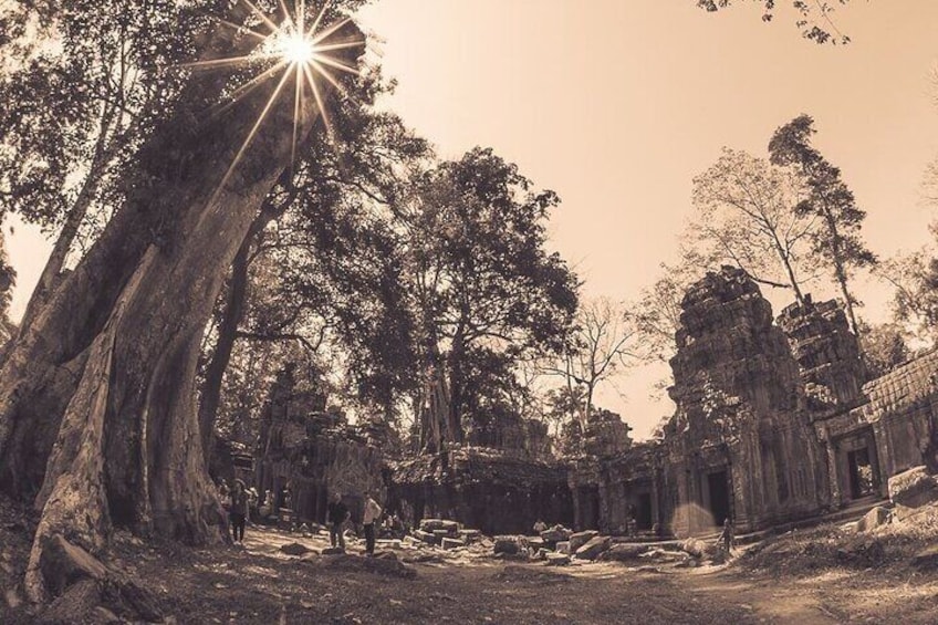 Angkor Wat Full-Day Private Tour All Interesting Major Temples