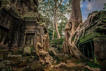 Angkor Wat Full-Day Sunrise & Sunset Private Tour All Interesting Major Tem...