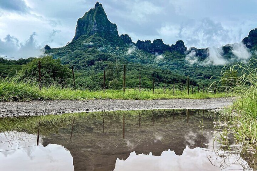 Discovery of photography in Moorea, photo tour & class