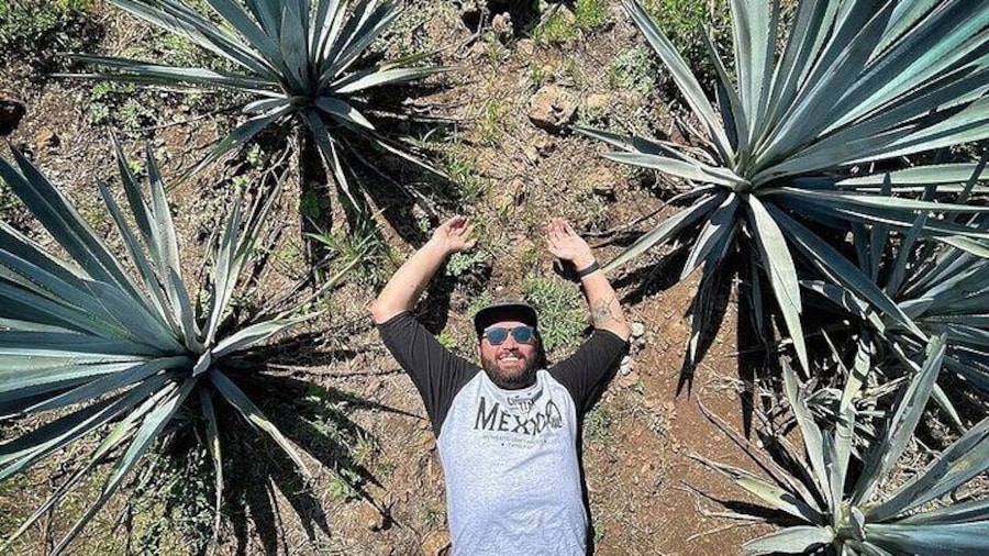 Private One Day Adventure Tour in Tequila and La Fortaleza Distillery