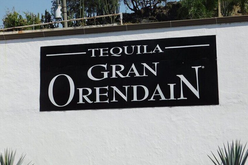 Private Tour One Day of Tequila Adventure and Orendain Tequila