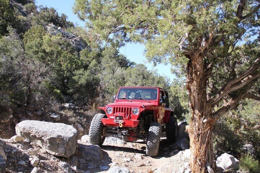 Navigating through the Rock Garden