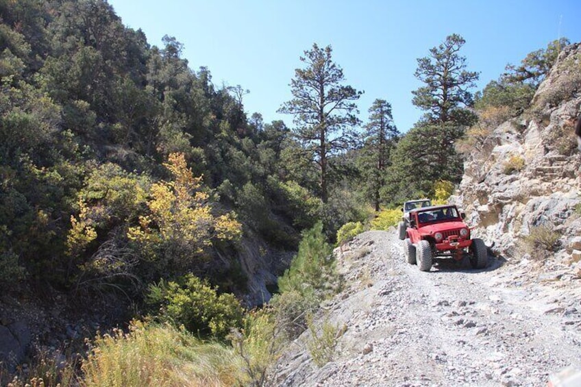 Narrow Rugged Road that we travel to get to Rock Garden part of Rocky Gap Trail