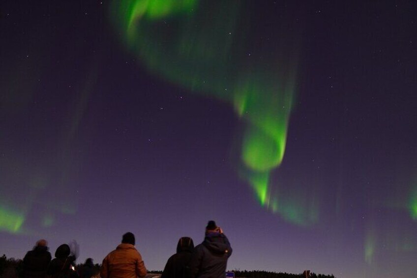 Northern Lights Tour with The Aurora Viking