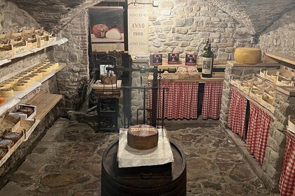 Dos catas de vino y visita a una bodega histórica dentro de las antiguas mu...