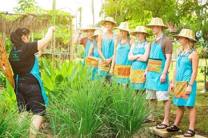 Half Day Cooking in Farm with Market Tour in Chiang Mai