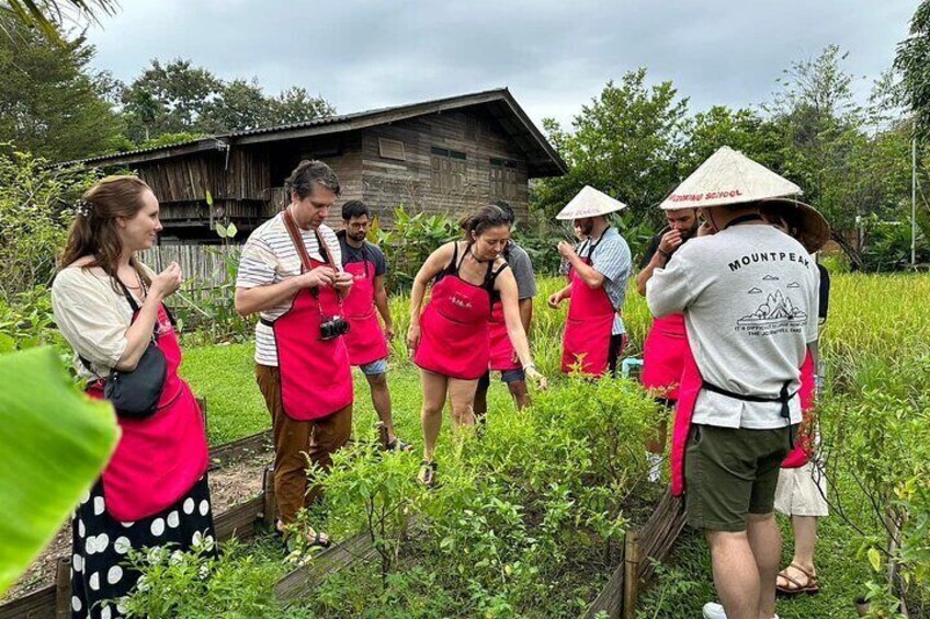 Cooking Class with Organic Farm in Chiang Mai