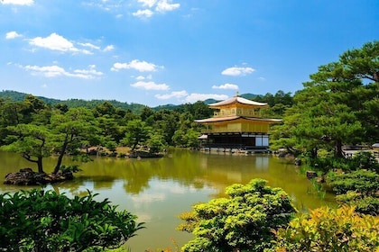 Kyoto 6hr Private Tour with Licensed Guide & Bus (Max 15 Pax)