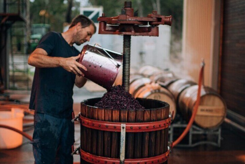 Winemaking at Windows Estate in Margaret River