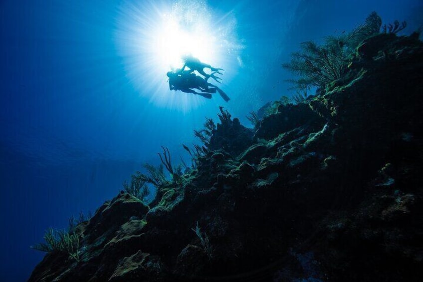 Discover Scuba Diving in Roatan at Upachaya with Private Transfer