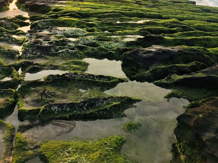 Private Laomei Green Reef Day Tour from Taipei