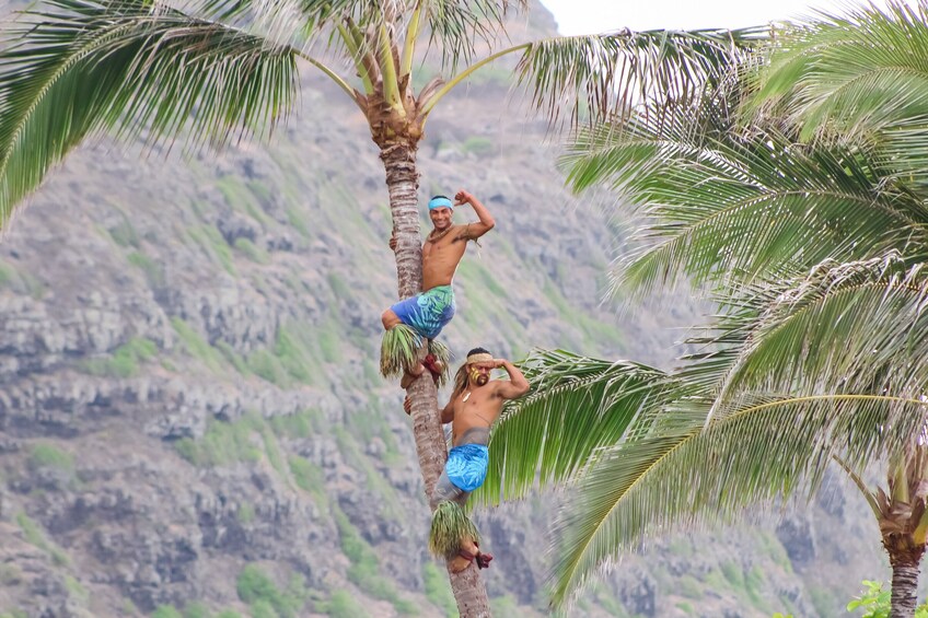 Aloha Kai Luau at Sea Life Park