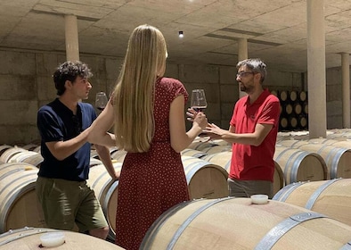 Desde Valencia: tour de vinos de Requena con degustaciones