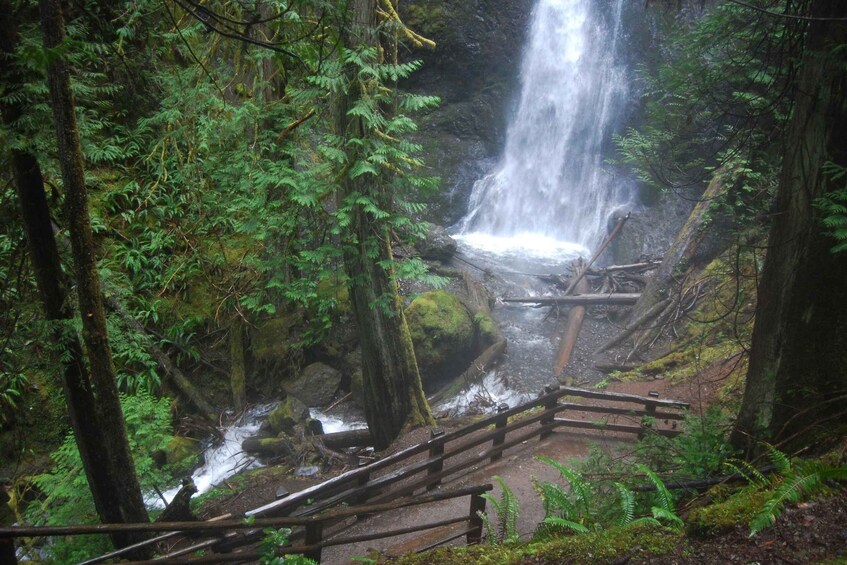 Picture 3 for Activity Olympic National Park: Sol Duc and Hurricane Ridge Tour