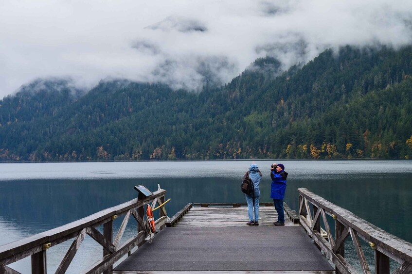 Picture 2 for Activity Olympic National Park: Sol Duc and Hurricane Ridge Tour