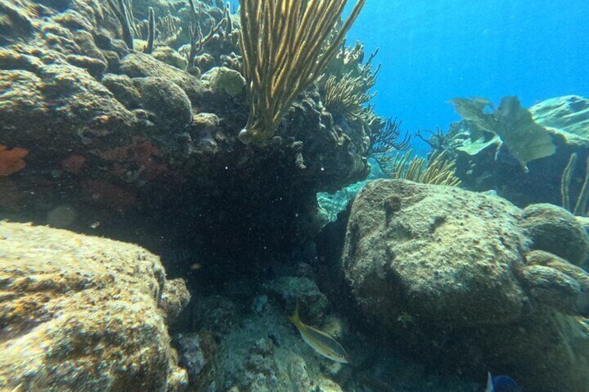 Visit Secret beaches and enjoy private guided Snorkel tour