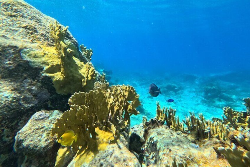 Visit Secret beaches and enjoy private guided Snorkel tour